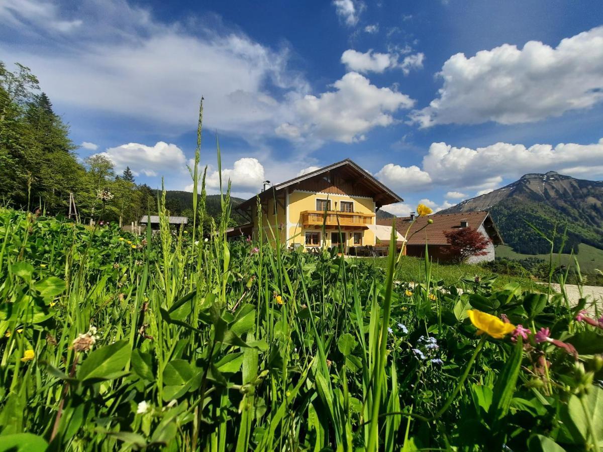 Appartement Reitlhof, Bio Berg Bauernhof Krispl 외부 사진