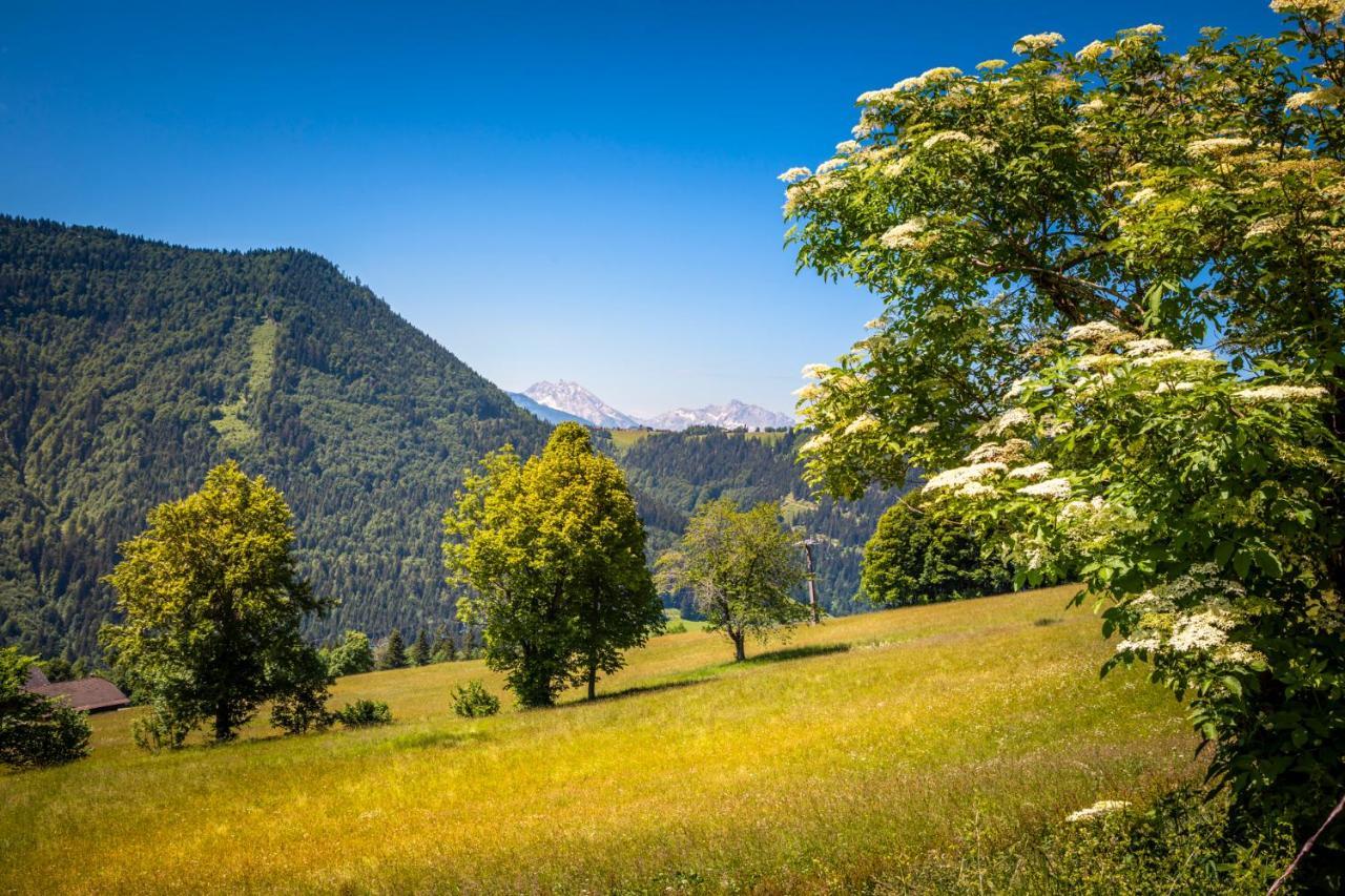 Appartement Reitlhof, Bio Berg Bauernhof Krispl 외부 사진